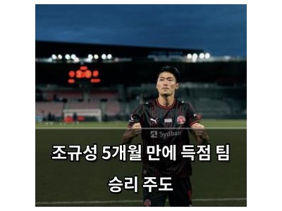 조규성 5개월 만에 득점 팀 승리 주도