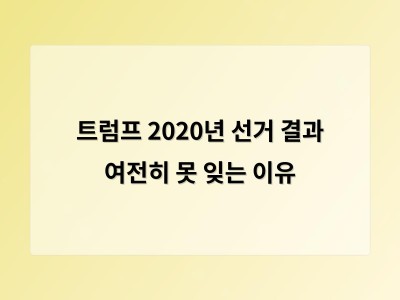 트럼프의 2020년 선거 부정 주장이 미국 사회에 미친 영향
