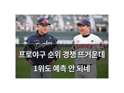 프로야구 순위 경쟁 뜨거운데 1위도 예측 안 되네