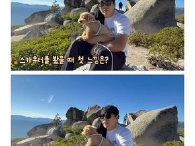 강정호 트라이아웃 끝내고 은퇴 선언