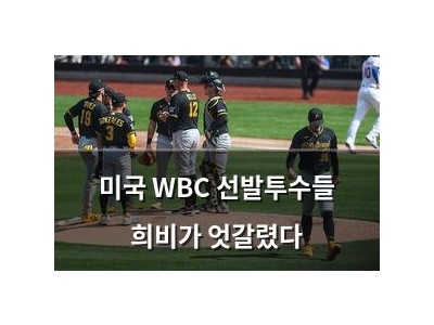 미국 WBC 선발투수들 희비가 엇갈렸다