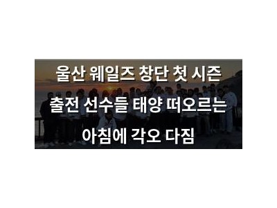 울산 웨일즈 창단 첫 시즌 출전 선수들 태양 떠오르는 아침에 각오 다짐