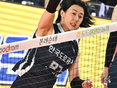 남녀부 최고 보수 선수로 황택의 양효진 강소휘 이름 올려