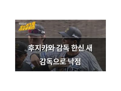 후지카와 감독 한신 새 감독으로 낙점