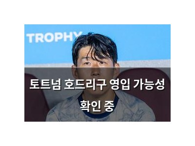 토트넘 호드리구 영입 가능성 확인 중