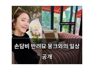 손담비 반려묘 뭉크와의 일상 공개