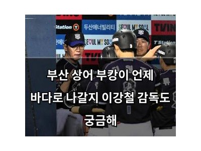 부산 상어 부캉이 언제 바다로 나갈지 이강철 감독도 궁금해