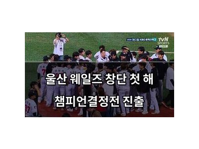 울산 웨일즈 창단 첫 해 챔피언결정전 진출